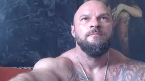 viking online show from 07.03.26