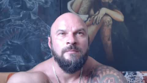 viking online show from 07.25.26