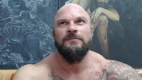 viking online show from 07.27.26