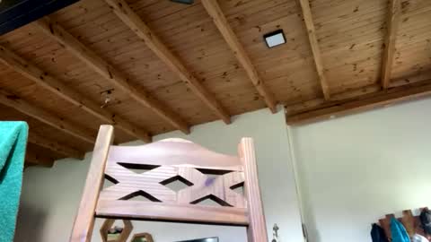 Snapshot of vikingo_arg chatting on 02.23.26 Viking Independent model online show from 02.23.26