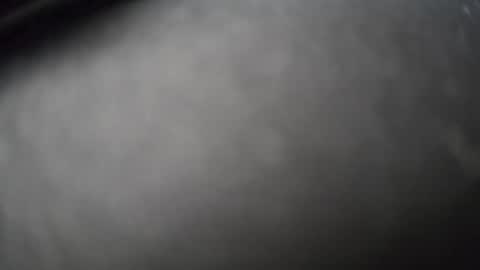 vinofuck online show from 12.15.24