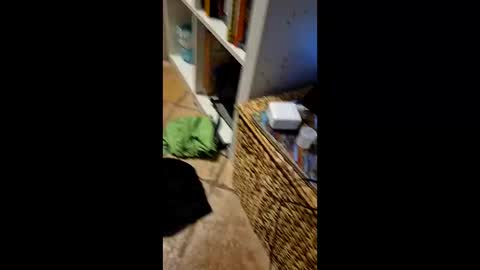 Vinz online show from 03.11.26