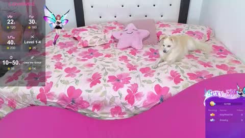 Violeta online show from 02.03.26