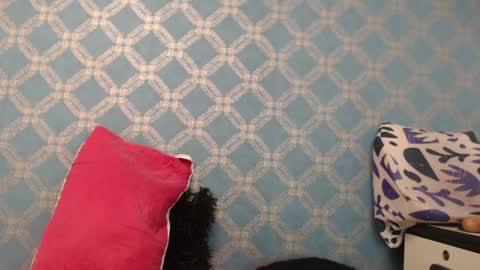 Violeta  online show from 01.10.25