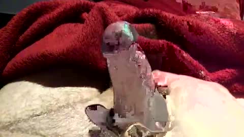 Snapshot of virtual_hand_player chatting on 01.31.25 virtual_hand_player online show from 01.31.25