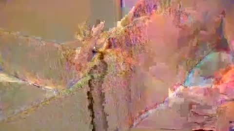 Snapshot of want2cum4gal chatting on 12.29.24 want2cum4gal online show from 12.29.24