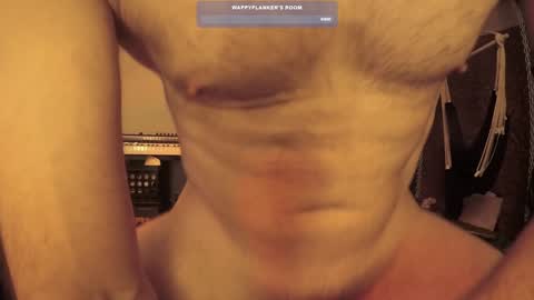 Snapshot of wappyflanker chatting on 12.11.24 wappyflanker online show from 12.11.24