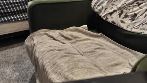 Daddy online show from 01.03.25