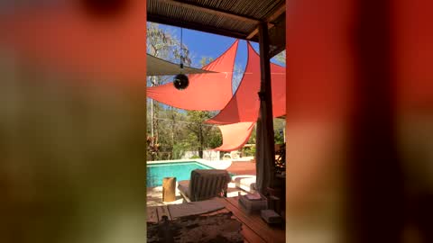 watershed111111 online show from 03.23.26