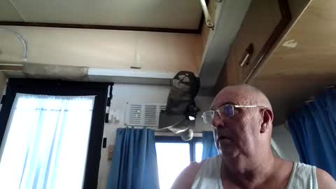 wazahardon2 online show from 09.20.25
