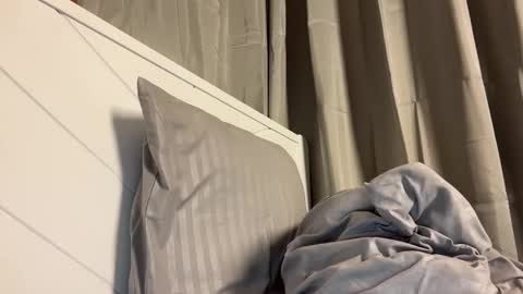 Maggie online show from 05.10.26