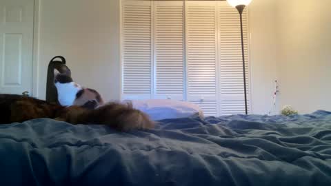 Snapshot of weedwacker43 chatting on 02.26.25 weedwacker43 online show from 02.26.25