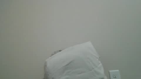 Weezy online show from 04.26.26