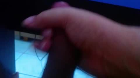 wellingtont online show from 02.19.26