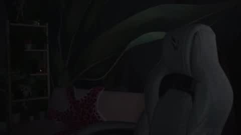 Snapshot of wesleegray chatting on 11.04.25 little girl who is always rightLisa online show from 11.04.25