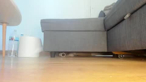 wet_pants2022 online show from 04.25.26