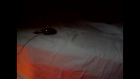 wgefwdtfvnlx online show from 02.25.26