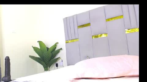 Snapshot of whinebby chatting on 12.05.25 Whinebby online show from 12.05.25