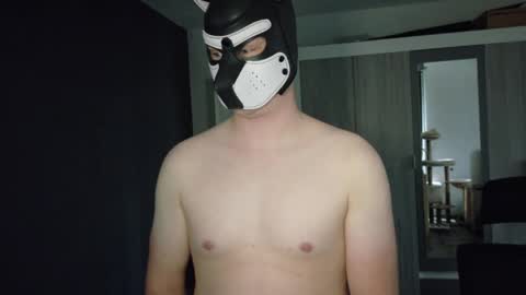 white_pup online show from 05.04.26