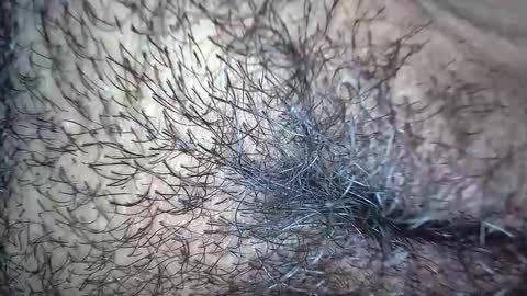 white_sexy_ online show from 11.20.25