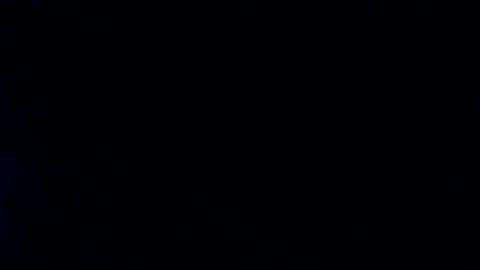 whitehead_lion online show from 01.29.25