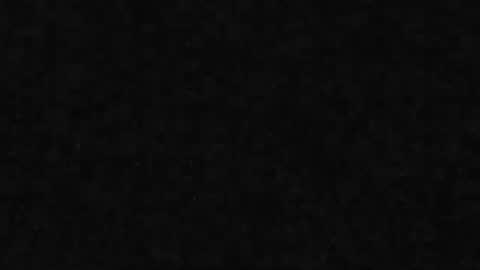 whitehead_lion online show from 03.31.26