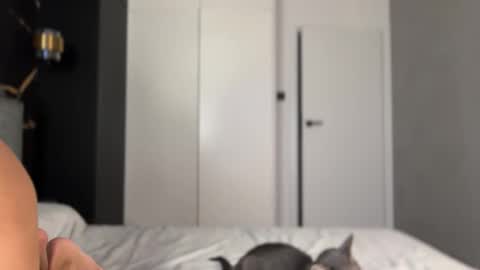 Alice online show from 10.02.25