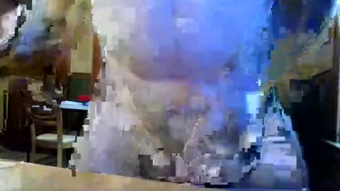 whydog online show from 06.08.26