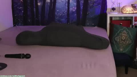 Snapshot of widthofapeach chatting on 02.03.26 Gretchen Jimmy online show from 02.03.26