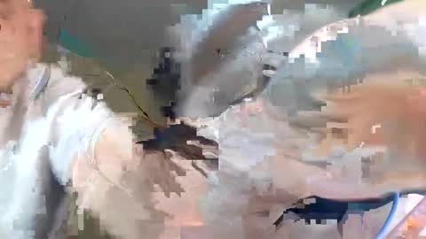 Snapshot of wikibitch chatting on 10.10.25 WikiBitch online show from 10.10.25