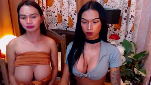 wildara online show from 02.08.25