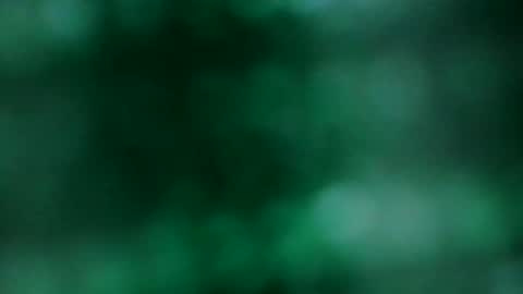 xxLavanderxx online show from 03.10.26