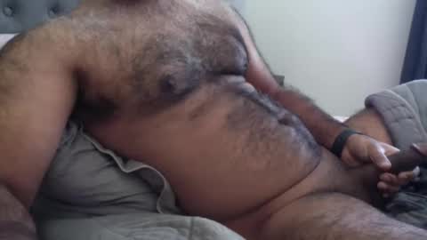 Snapshot of wildhungry chatting on 12.01.25 wildhungry online show from 12.01.25