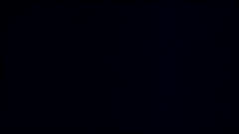 wildman3845 online show from 03.02.25