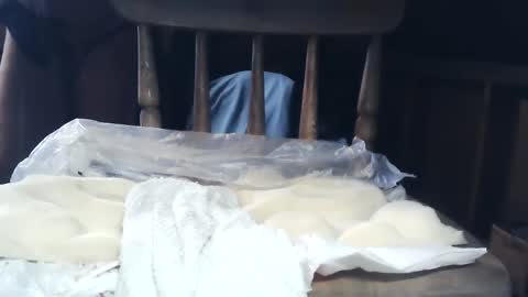 wildman6 online show from 01.26.25