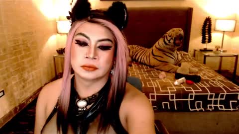 wildtransjhade online show from 01.16.25