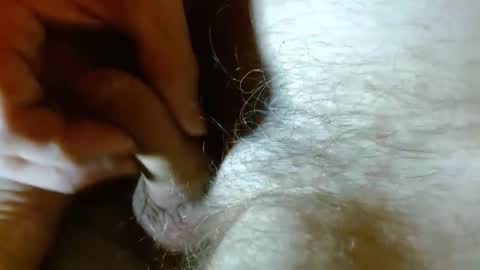 wildwills online show from 04.27.26