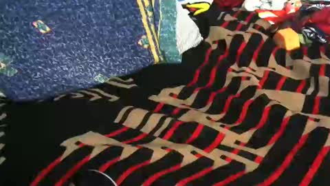 Willamyth online show from 02.19.25