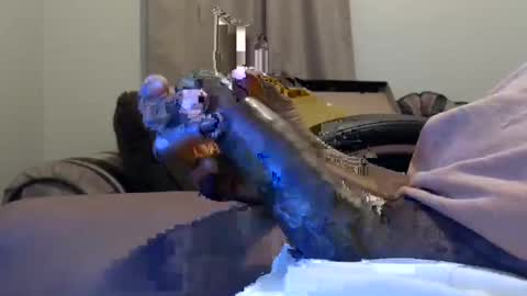 willy d bbc uncut bigdick edging online show from 02.11.25