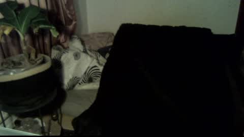 Snapshot of willingwillwet chatting on 12.18.24 Call me Babe online show from 12.18.24