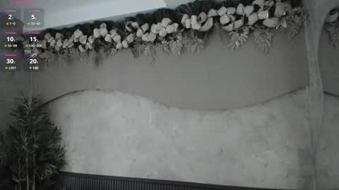 Snapshot of willow_hendrix chatting on 12.29.24 Ms Willow online show from 12.29.24