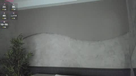 Snapshot of willow_hendrix chatting on 01.28.25 Ms Willow online show from 01.28.25