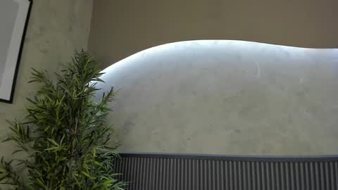 Snapshot of willow_hendrix chatting on 02.20.25 Ms Willow online show from 02.20.25