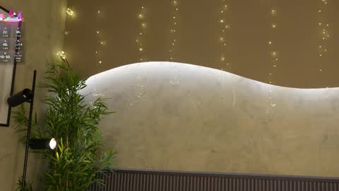 Snapshot of willow_hendrix chatting on 01.14.26 Ms Willow online show from 01.14.26