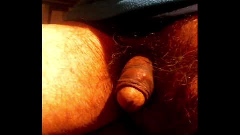 willstrok online show from 01.22.25