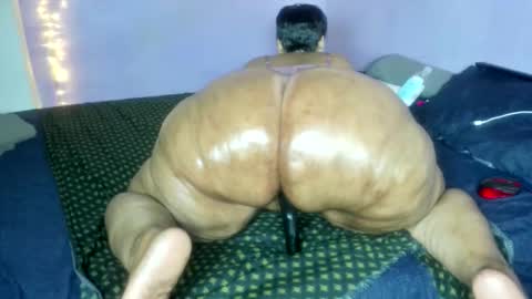 wilmaassylum online show from 12.18.25