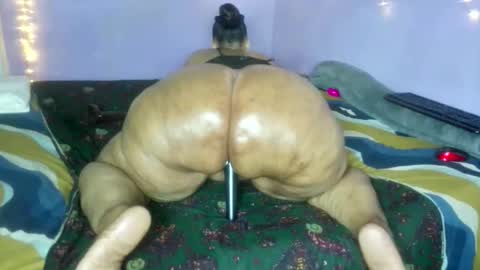 wilmaassylum online show from 12.19.25