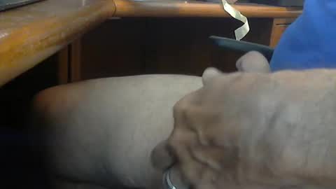 Wineman88886 online show from 03.21.26