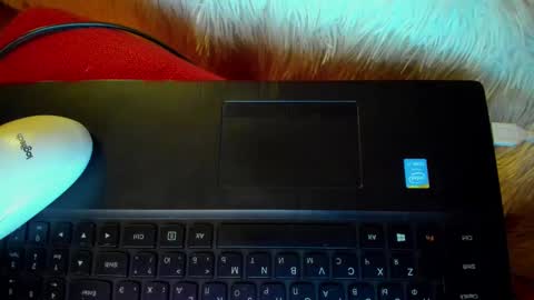 Winter Miracle online show from 01.20.25