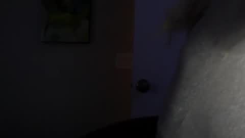 WishGoddes online show from 11.12.25